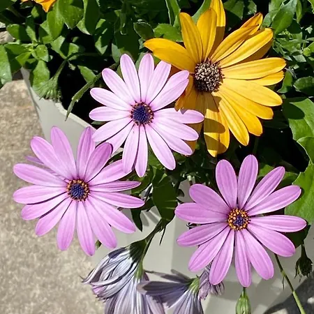 La Casina De La Arquera Holiday home